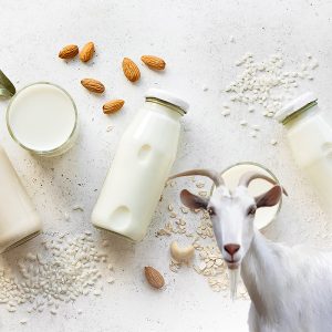 Sữa - Bột - Hạt